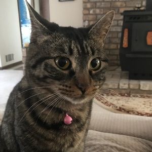 Meet your Posher, Amy